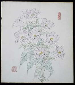 6224☆肉筆色紙・花画・リンドウ？・洋画家？・印章・不明・☆