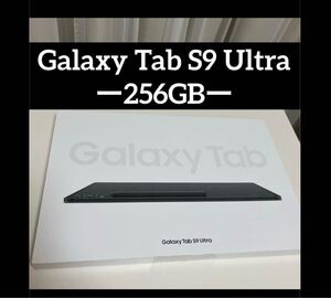 早い者勝ち！！！Galaxy Tab S9 Ultra 256GB 韓国版