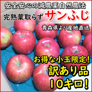 【お得な小玉限定訳あり品10キロ】生食用！「青森のサンふじ」安心安全の減農薬葉取らず完熟りんご！皮ごと安心！色や見た目が悪いC級品！