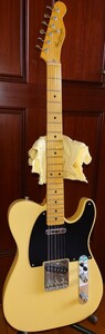 van zandt　Telecaster エレキギター テレキャスター ソフトケース