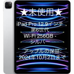 未使用 iPad Pro 12.9インチ 第6世代 256GB Wi-Fiモデル A2436 シルバー