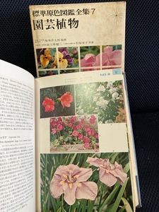 標準原色図鑑　園芸植物　中古