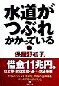 水道がつぶれかかっている/保屋野初子(著者)