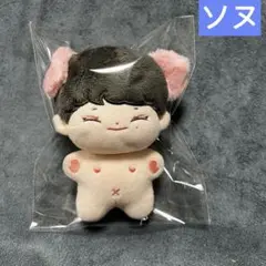 enhypen ソヌ　ぬいぐるみ　10cm 新品　マスター