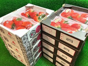 【Good】大量10箱セット！！たっぷり20パックお届けです♪高級いちご 栃木産『スカイベリー』＆『とちあいか』ご予約