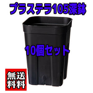 【10個セット】硬質プラスチック鉢・【新品】 【プレステラ105深鉢】【送料無料】