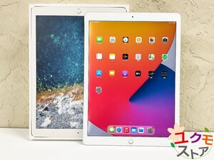 【開始価格1円】訳あり Apple 第2世代 iPad Pro 12.9インチ 512GB シルバー MPLK2J/A A1671 ロックオフ 動作OK ジャンク扱いにて