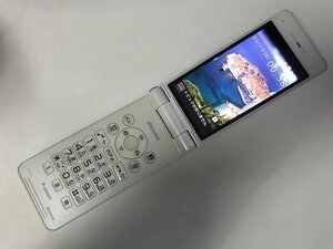 GK990 docomo P-01J 判定〇 ジャンク