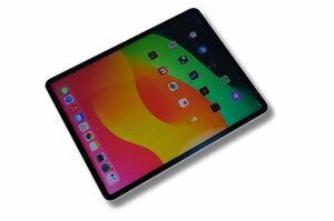 1円 iPad Pro 12.9インチ 第6世代 Wi-Fi+Cellular 512GB MP233J/A SIMフリー [シルバー] 中古美品 迅速対応作動OK ドコモ ソフトバンクに