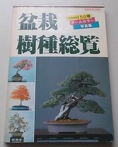 盆栽樹種総覧　盆栽樹種　種オールカラー写真集　昭和57年