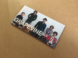  8ｃｍ CDS GRAPEVINE 1977 短冊シングルCD 短2D1