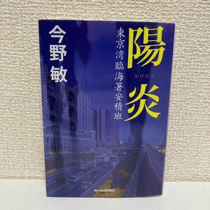 陽炎 : 東京湾臨海署安積班