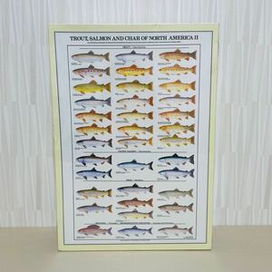 絶版 希少 レア ジグソーパズル セントラルホビー Central Hobby トラウト コレクション 1000ピース 釣り フィッシング 魚