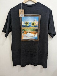  パタゴニア 50周年記念 50イヤー・レスポンシビリティー Mサイズ 墨 黒色 インク ブラック レインボースマイル Tシャツ 37690