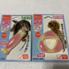 Hartz 犬用おやつ ソフトタイプ 2種セット