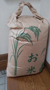 令和６年産 はえぬき ３０kg 山形産