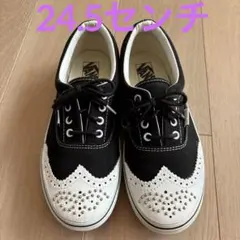 dictionary vans コラボ　ウィングチップ　スニーカー　 24.5