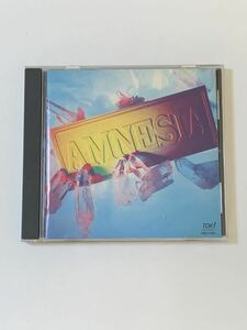 【送料無料・帯あり】セッションバンドAMNESIA（アムネジア）CDミニアルバム「AMNESIA」 TUSK/人時/そうる透/GEORGE他参加