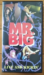 Mr. Big / ライヴ・アンド・キッキン 【VHS】