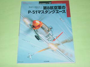 大日本絵画 17 第8航空軍のP-51マスタングエース