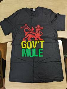 【服飾】 ビンテージ レア Tシャツ バンド 当時物? GOV