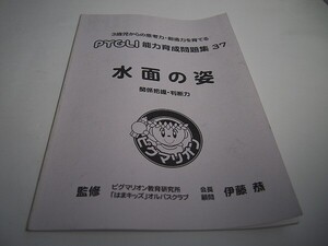 【B品】ピグマリオン(ピグリ)　能力育成問題集３７【水面の姿】