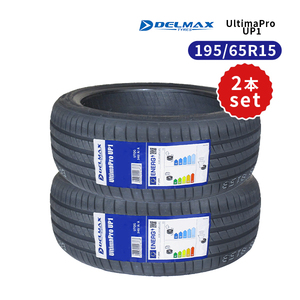 2本セット 195/65R15 2024年製造 新品サマータイヤ DELMAX UltimaPro UP1 送料無料 195/65/15