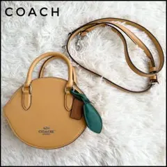 完売品 COACH コーチ レモン クロスボディ ハンド ショルダー バッグ