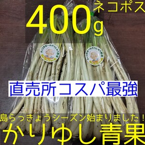 〈直売所コスパ最強〉沖縄県産Ｋおばーの島らっきょう 約400g【ネコポス】②