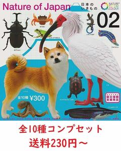 奇譚クラブ ネイチャーテクニカラー 日本のいきもの 02 全10種 コンプセット シバイヌ カブトムシ アマガエル トカゲ ハコガメ サワガニ