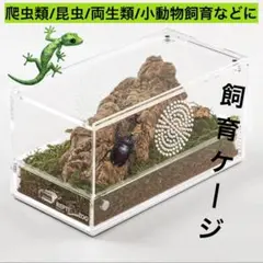 人気商品‼️爬虫類ケージ 爬虫類飼育ボックス 透風透明飼育ボックス 飼育容器 昆虫