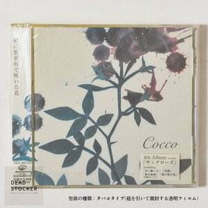 【希少！新品未使用】CD Cocco / サングロース 潮に焦がれて咲いた花 デッドストック