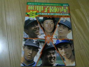 輝け甲子園の星 第61回全国高校野球選手権大会/1979年・箕島優勝