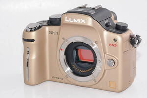 【外観並級】Panasonic パナソニック LUMIX DMC-GH1 ボディ　#j4190