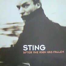 $ STING / AFTER THE RAIN HAS FALLEN (DO IT 16-00) Shape Of My Hearth 4:38【掲載の写真は参考イメージです】YYY190-2868-4-5+2