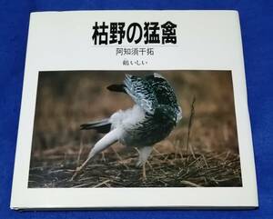 ○○　写真集 枯野の猛禽　阿知須干拓（山口県）　鶴いしい　1990年初版　B0205s