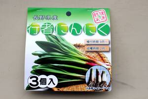 【プランターで美味しく収穫】行者にんにく7年物太球根苗パッケージ3本 a