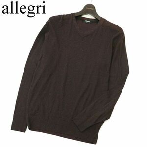 allegri アレグリ 通年 レーヨン★ Ⅴネック コットン ニット セーター Sz.48　メンズ ブラウン系　C3T00942_2#L