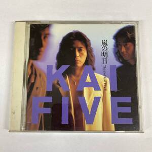 y4111181　*KAI FIVE *嵐の明日