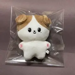 ジョンウ　ぬいぐるみ　10cm 新品　マスター　nct