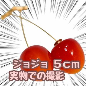 花京院典明　イヤリング　ピアス型　ジョジョ　薄赤　コスプレ　5cm　【残5限定】