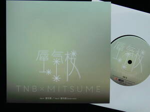 [未使用品][送料無料] ザ・なつやすみバンド / 蜃気楼 [アナログレコード 7] TNB X MITSUME / ミツメ