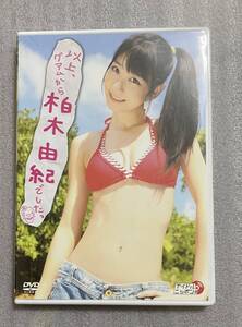  DVD 柏木由紀　「以上、グアムから柏木由紀でしたっ」