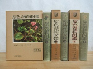 h14☆ 【 まとめ 3冊 】 原色日本植物図鑑 草本編 上 中 下巻 セット 北村四郎 村田源 保育社 合弁花類 離弁花類 単子葉類 231129