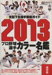 プロ野球カラー名鑑 2013/日刊スポーツ出版社