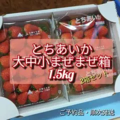 【2箱】3　とちあいか　サイズ色々詰め合わせ1.5kgx2箱セット