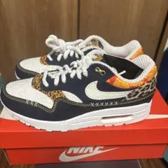 Nike Air Max 1 PRM