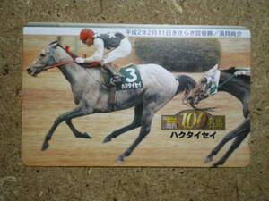 I1501・Gallop100名馬　ハクタイセイ　競馬　テレカ