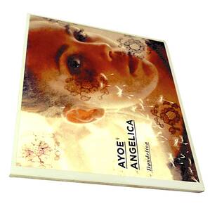 Sealed New新品 北欧AORデンマーク産ディーヴァEDMシンセポップElectronic Soul Jazz Danish Female Singer Diva AYOE ANGELICA Dandelion