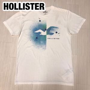 HOLLISTER ホリスター 半袖Tシャツ S ホワイト プリントTシャツ